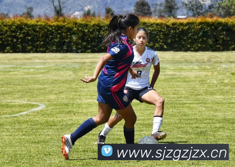 中国足球最新战报:深度解析国家队近期比赛结果与表现